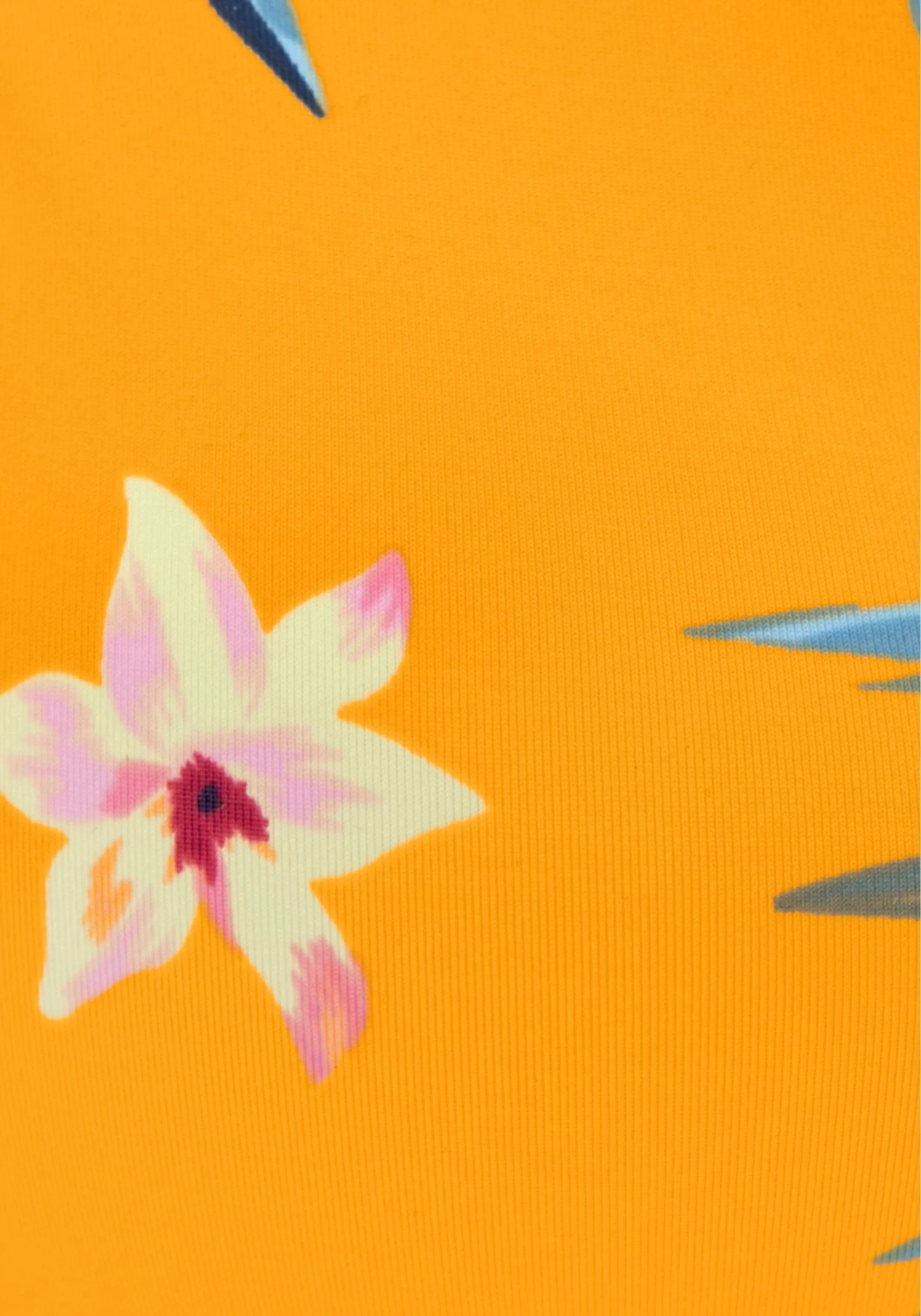 Bench. Bikinitop Met Beugels Maui Met Een Bloemmotief 6 Bench. Bikinitop Met Beugels Maui Met Een Bloemmotief - Afbeelding 4