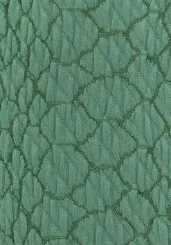 Jette Joop Triangelbikini Met V-gesp -Beste Bikini Winkel jette joop triangelbikini met v gesp groen 3