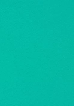 Venice Beach Bikinibroekje L.A. Met Contrast-piping 21 Venice Beach Bikinibroekje L.A. Met Contrast-piping -Beste Bikini Winkel venice beach bikinibroekje la met contrast piping groen 3